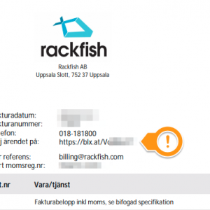 Rackfish Invoice Web Hosting Server Hosting